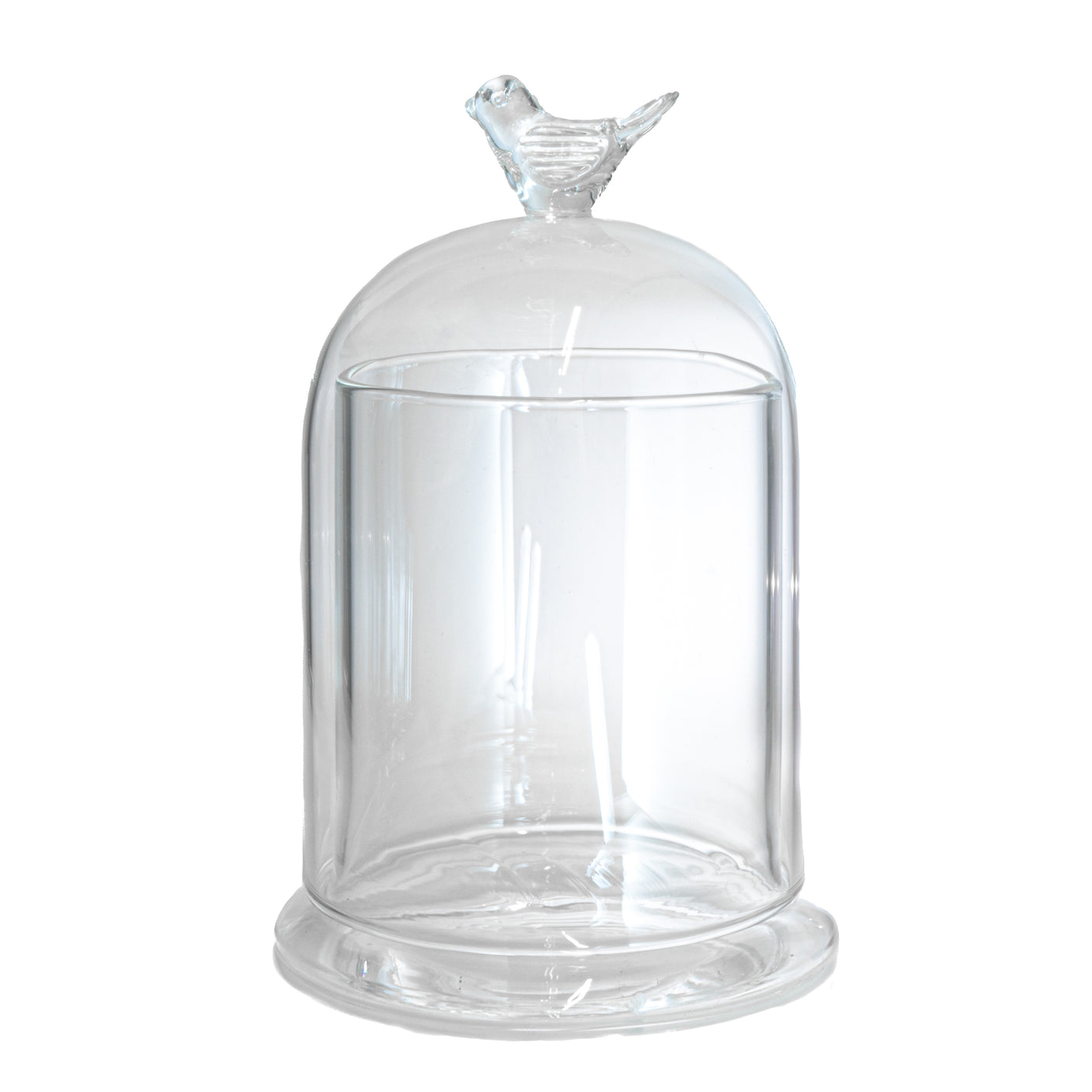 Bird Bell Jar Terrarium