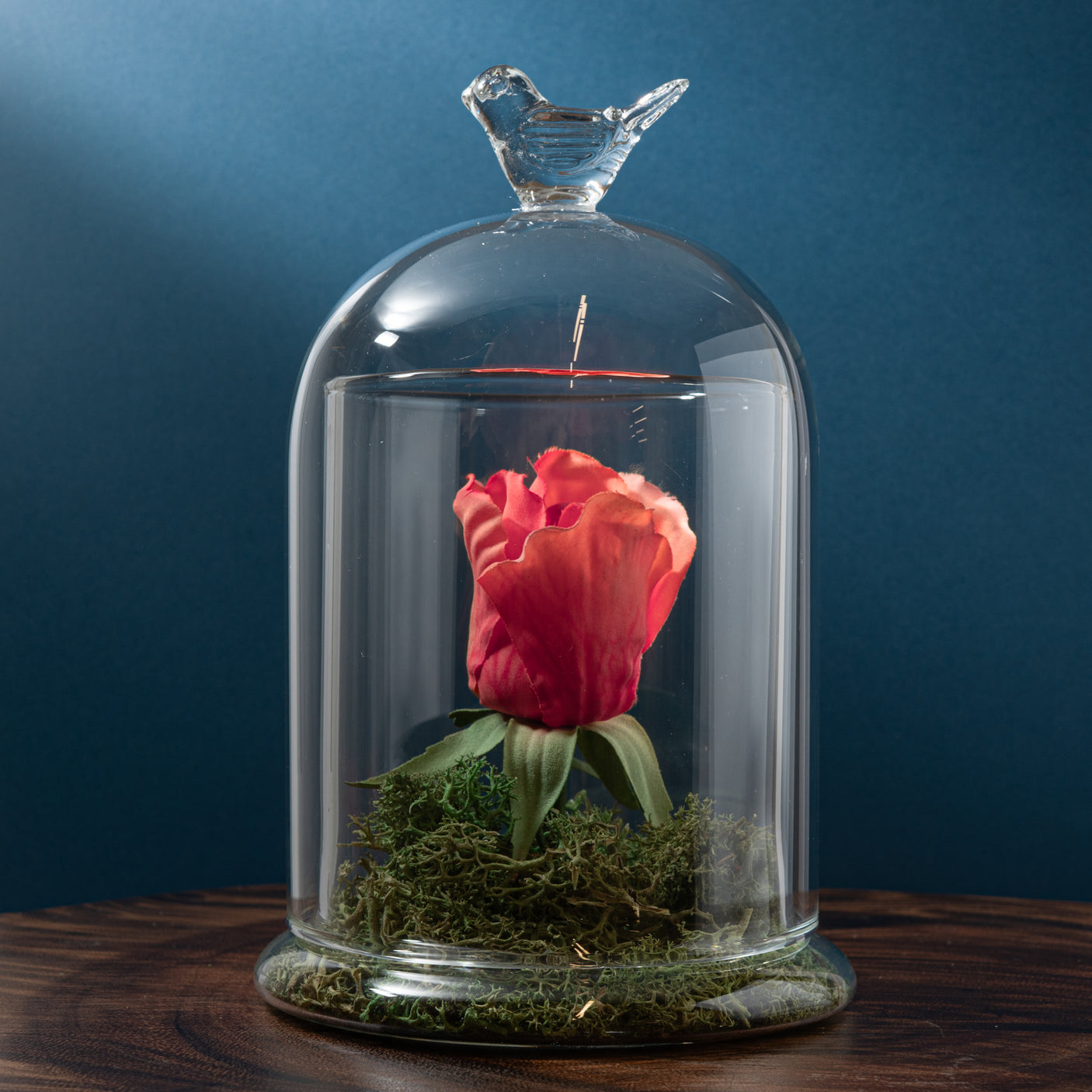 Bird Bell Jar Terrarium