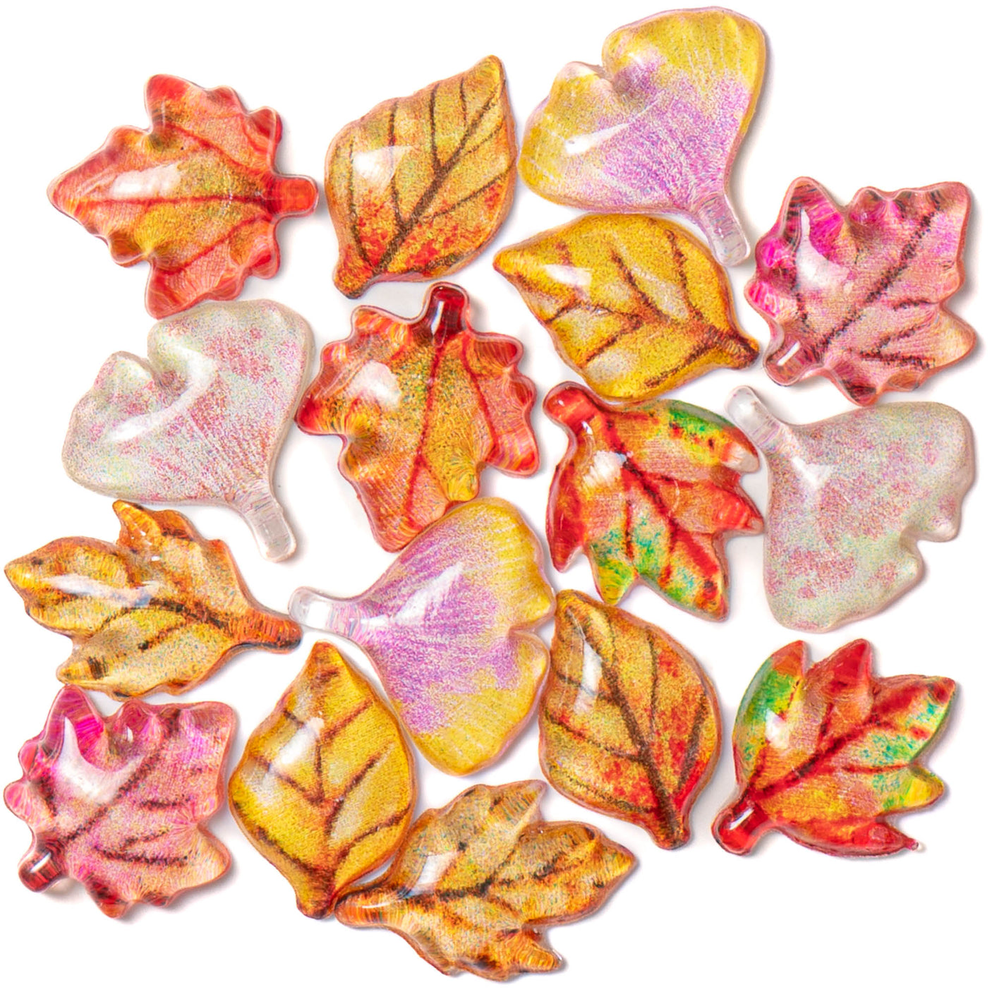 Colors of Autumn Multi Color Leaves Fall Themed