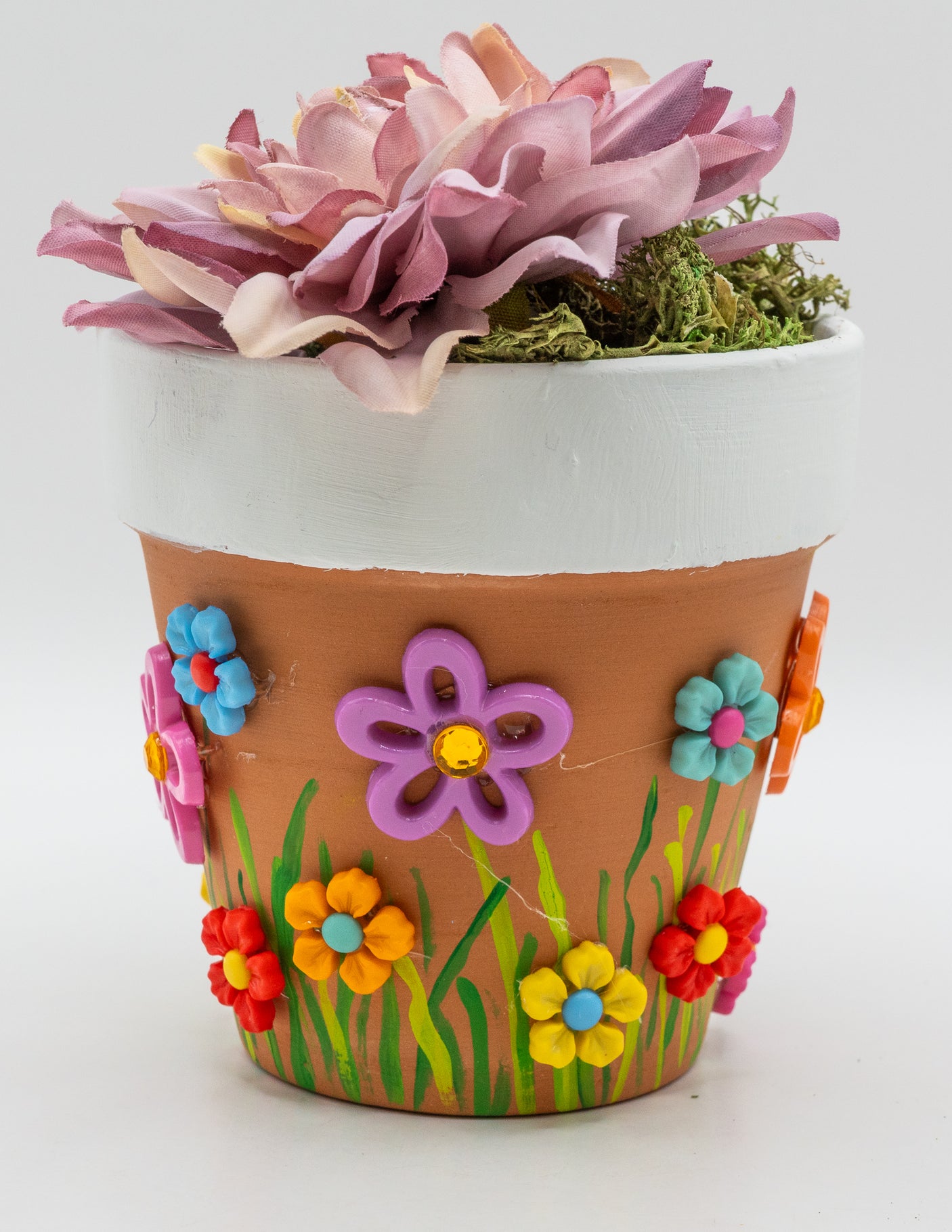 Entra en primavera