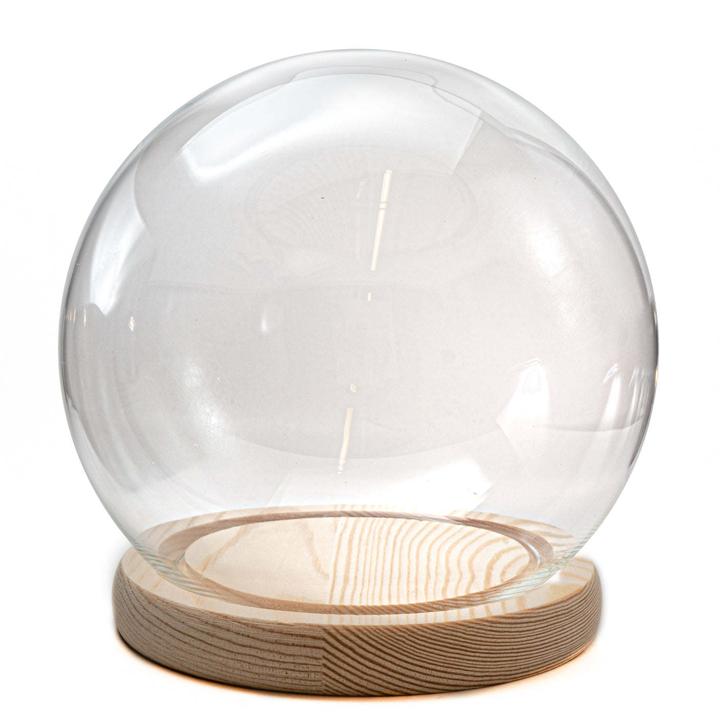 Large Round Snow Globe Terrarium