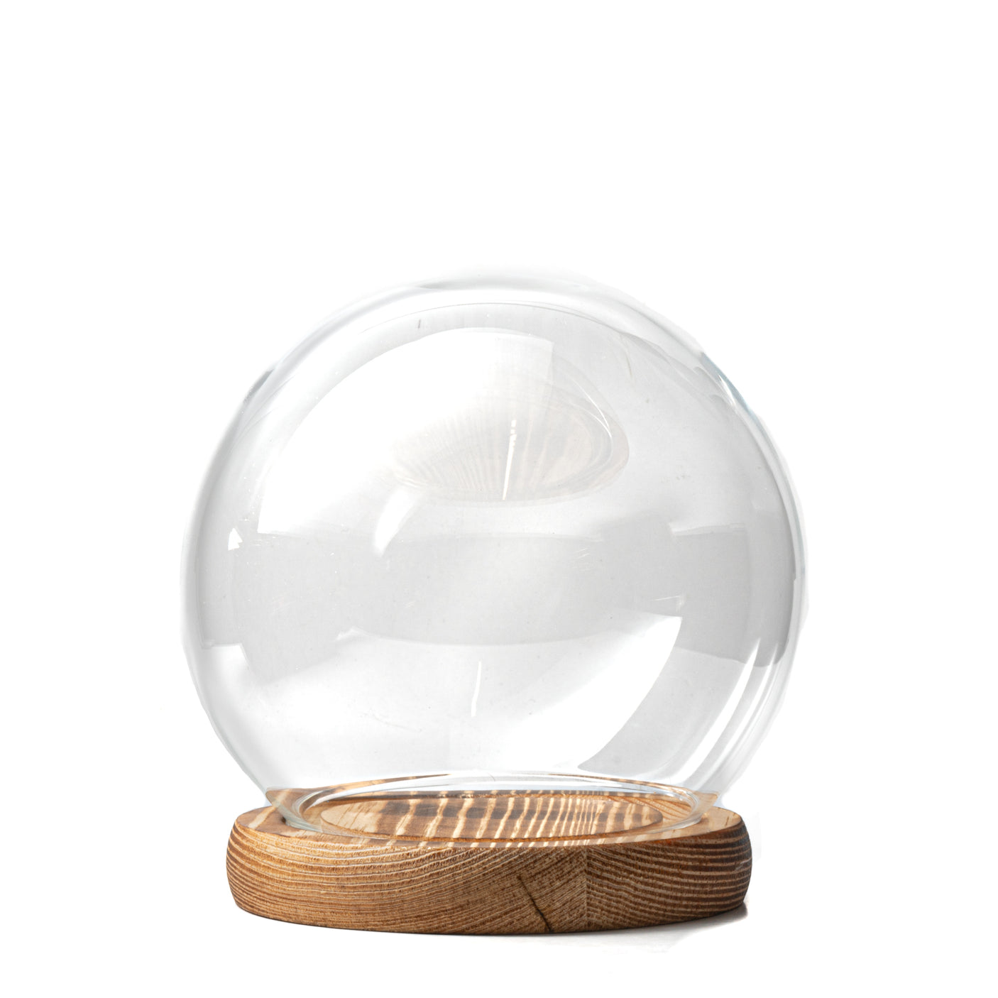 Cloche Bell Jar Terrarium with Wood Base