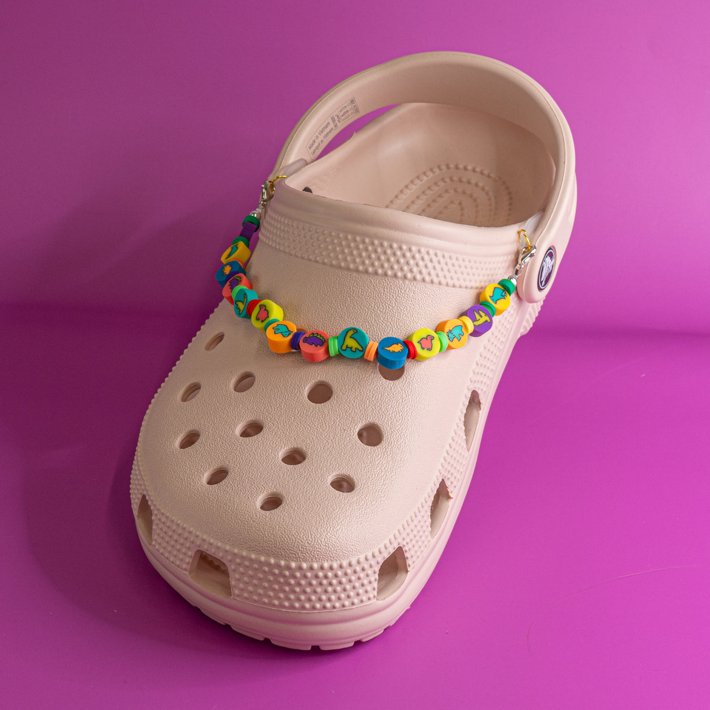 Acrylic Beaded Shoe Charm Pair in Derpy Dino