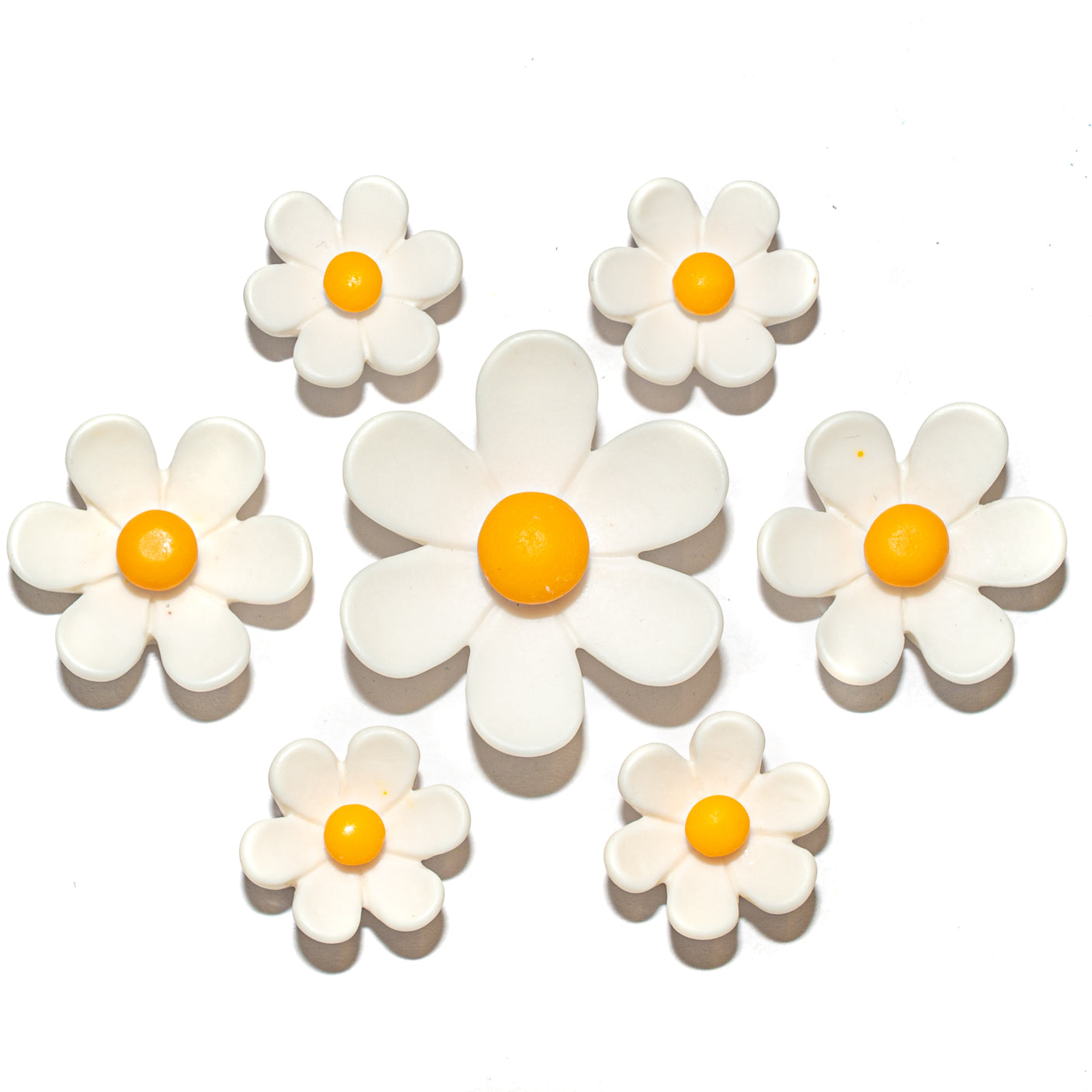 Matte Resin Daisies Craft Buttons