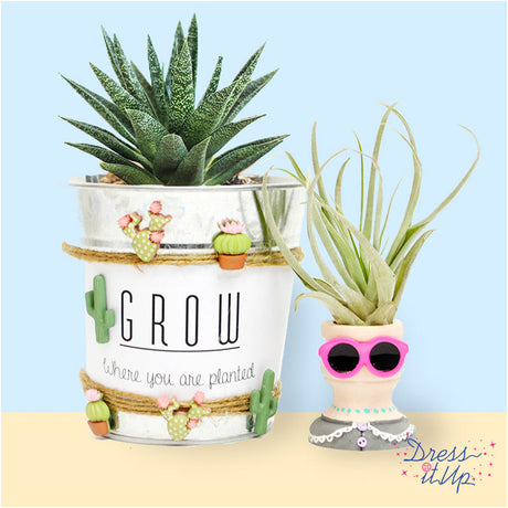 Succulent Plant Holder
