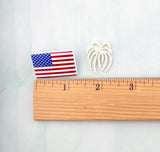 American Flag and Fireworks 48 Piece Assortment