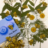 abejas diminutas