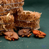 Turkey Trot Comical Fall Bird Thanksgiving Themed Buttons