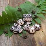 Woodland Wisdom Owl Bird Nature Themed Embellishments