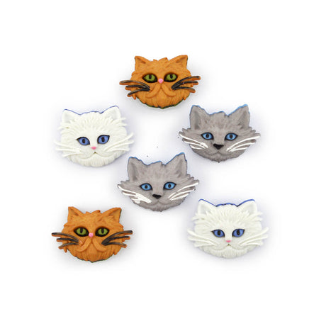 Five cat-face shaped items arranged on a plain white background, including two orange cats, two gray cats, and one white cat, each with blue eyes and black whiskers.