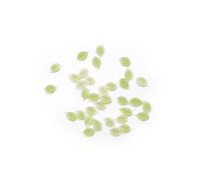 tiny leaf resin craft embellishments for diy paper or wood crafting