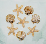 Golden Coast Seashell Embellishment Pack