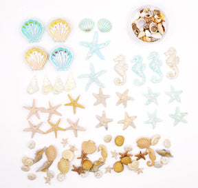 bulk assortment of seashell themed craft embellishments for wood or home decor 