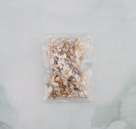 Mini Real Seashell Craft Mix 130 pieces