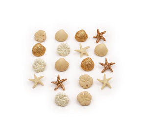 Seashell shank-back buttons for crafting and sewing project