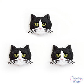 Six black and white cats to embellish your pet crafts