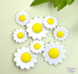 Sunny daisies are perfect for adding to spring and garden crafts